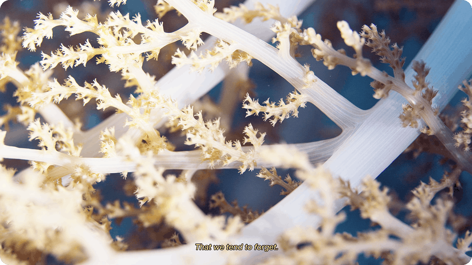 The little things – Lucas Lengagne – still 3